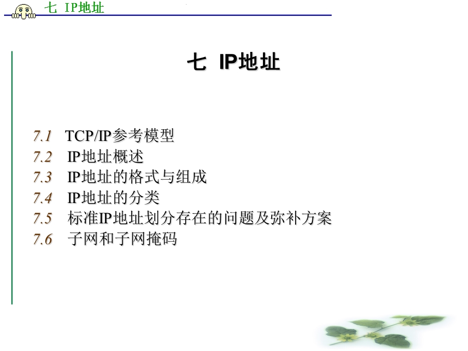 部分IP地址和域名系统.ppt_第1页