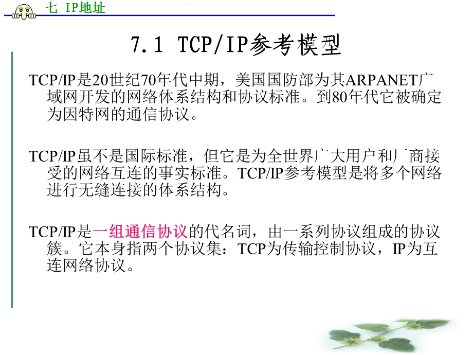 部分IP地址和域名系统.ppt_第2页