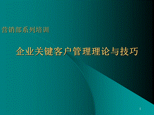 营销部系列培训-企业关键客户管理理论与技巧.ppt