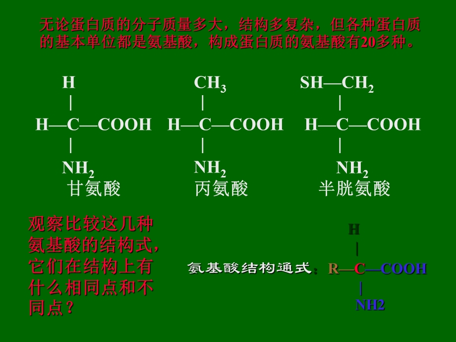 高一生物必修组成生物体的化合物二.ppt_第3页