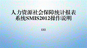 人力资源社会保障统计报表系统SMIS操作说明.ppt