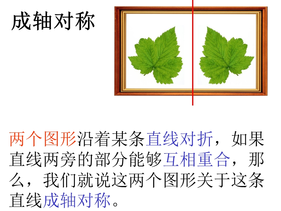 轴对称图形的性质.ppt_第3页