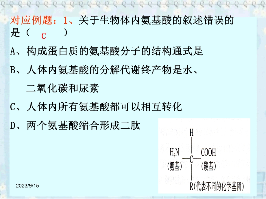 蛋白质、核酸的结构和功能.ppt_第3页