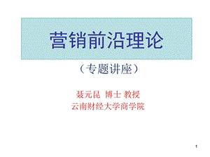 营销前沿理论概述.ppt