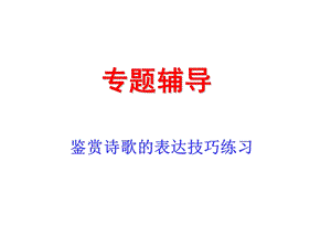 鉴赏诗歌的表达技巧练习.ppt