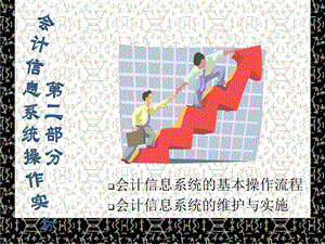 部分会计信息系统操作实务.ppt