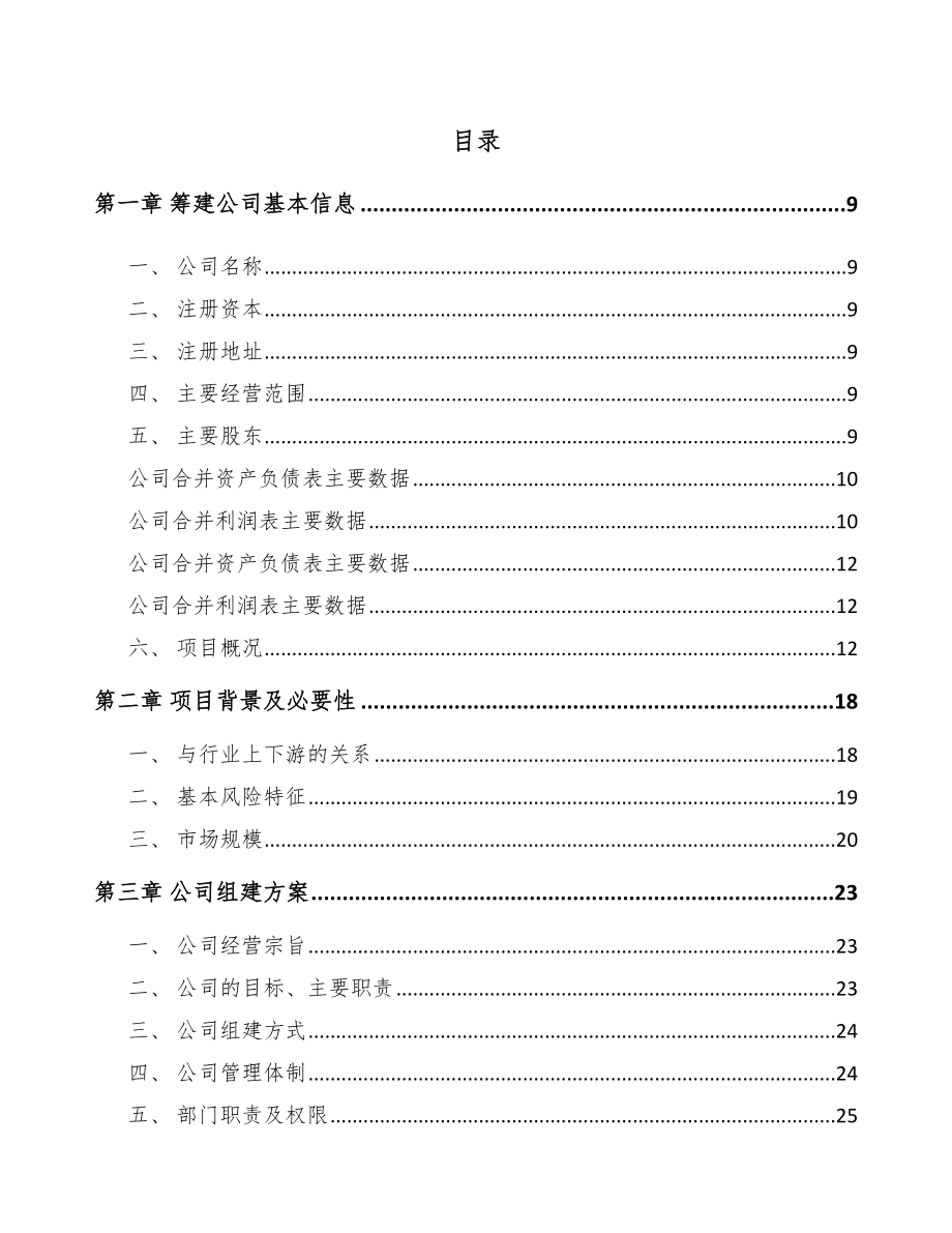 大连关于成立发电机组公司可行性研究报告模板参考.docx_第2页