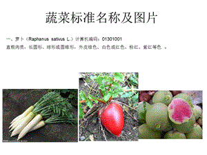 蔬菜标准名称及.ppt