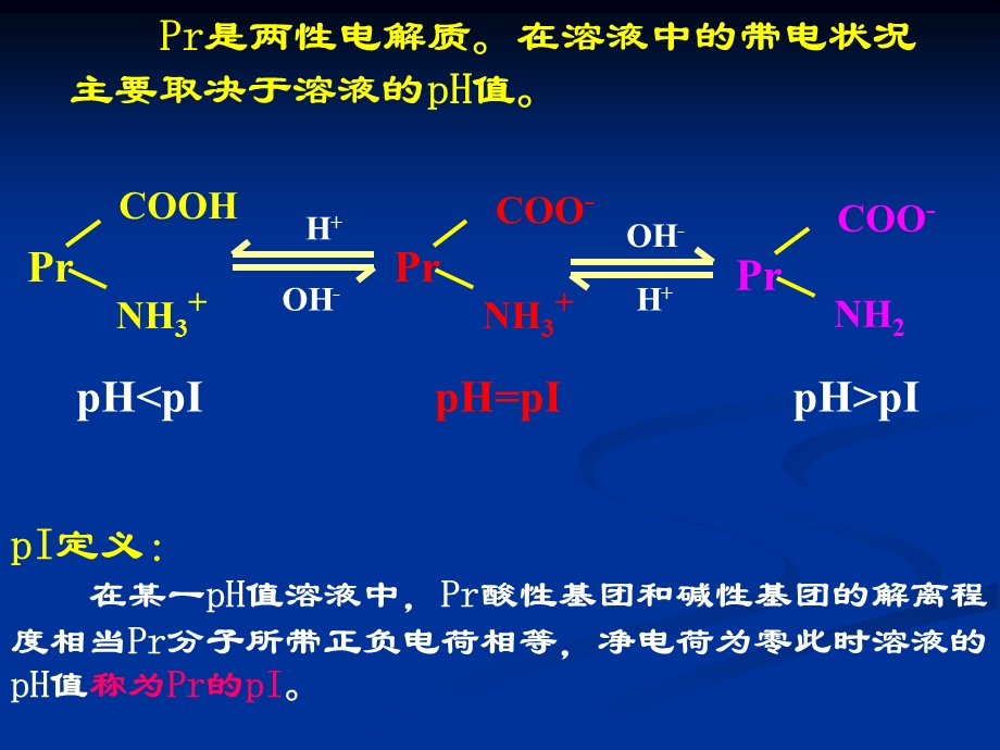 蛋白质结构与功能.ppt_第3页