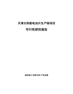 天津太阳能电池片生产线项目研究报告.docx