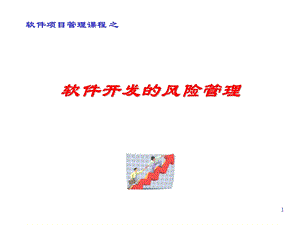 软件开发的风险管理.ppt