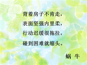 美术课《会变的线条》.ppt