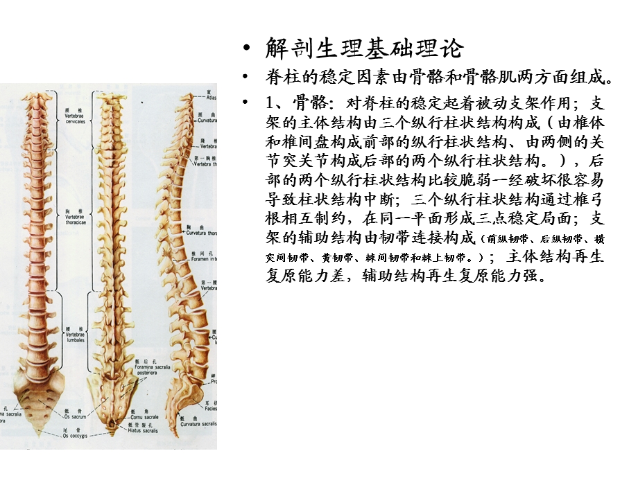 腰椎间盘突出症治疗.ppt_第3页