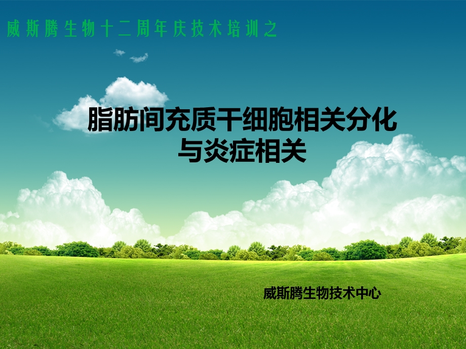 脂肪间充质干细胞相关分化与炎症相关.ppt_第1页