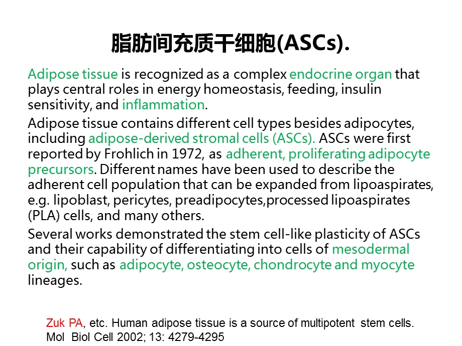 脂肪间充质干细胞相关分化与炎症相关.ppt_第3页