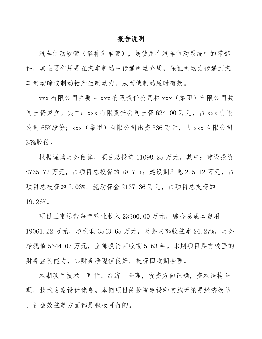 大连关于成立汽车制动软管公司可行性研究报告参考模板.docx_第2页