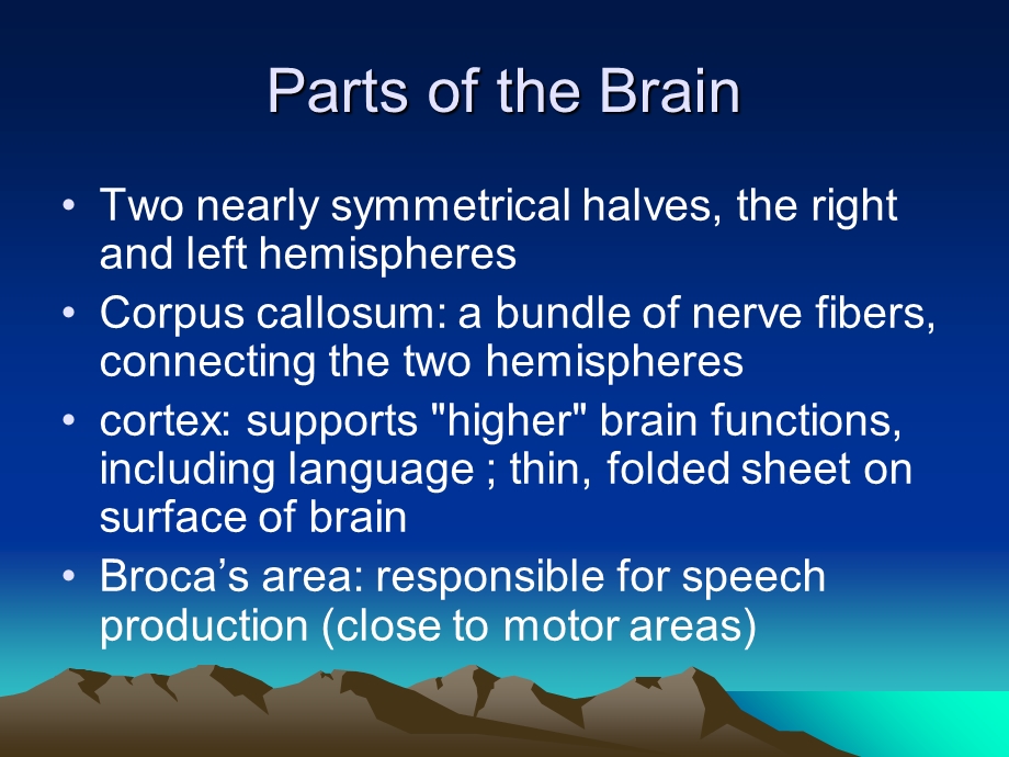 英语语言学课件Chapter15LanguageandtheBra.ppt_第3页