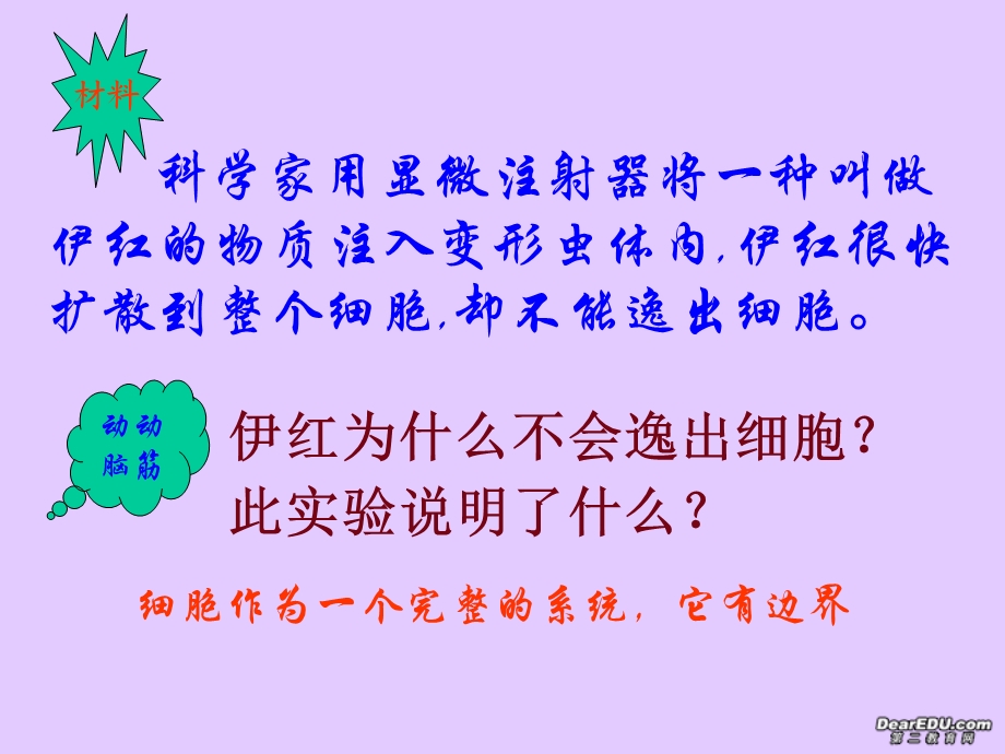 高一生物细胞的基本结构课件.ppt_第2页