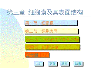 细胞膜及表面结构多媒体.ppt