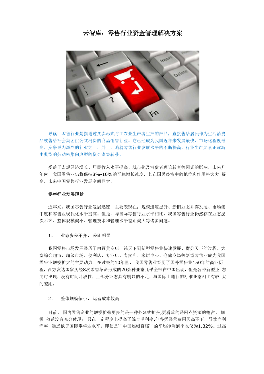 云智库：零售行业资金管理解决方案.docx_第1页