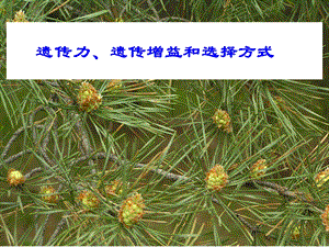 东北林业大学林木育种学遗传力、遗传增益和选择方式.ppt
