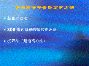 蛋白质分子量测定.ppt