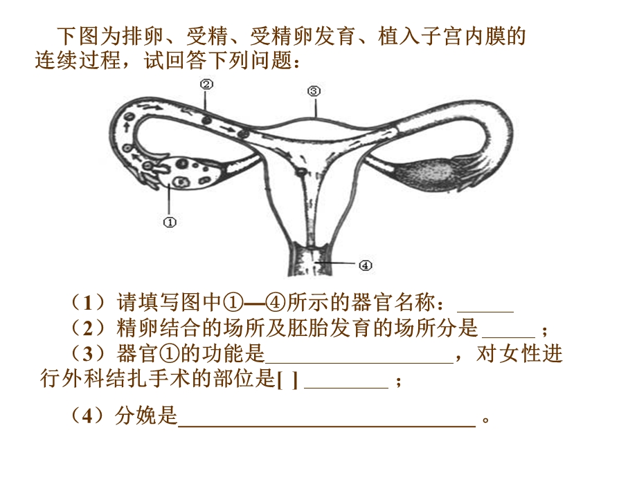 第四单元第二章人体的营养.ppt_第3页