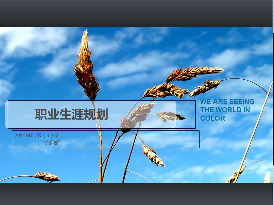 职业生涯规划-陈同辉.ppt_第1页