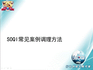 案例调理SOQI常见案例调理方法.ppt