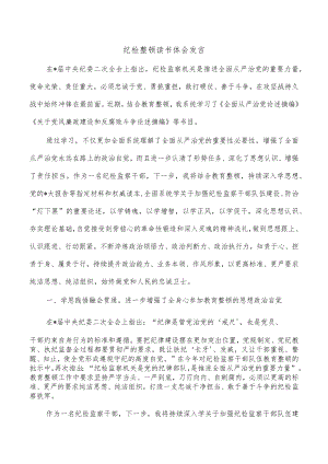 纪检整顿读书体会发言.docx