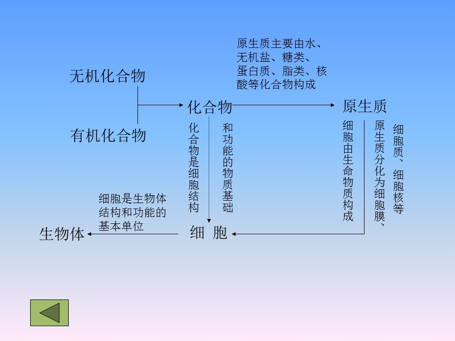 高一生物必修一第二章第二节蛋白质化学.ppt_第2页