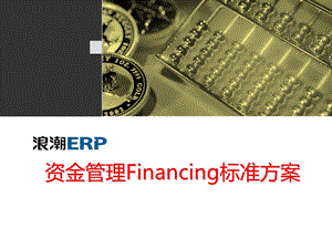 资金管理financing标准方案.ppt