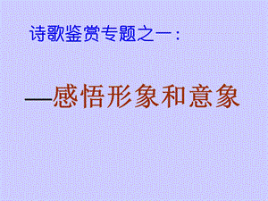 诗歌鉴赏专题之一形象和意象.ppt