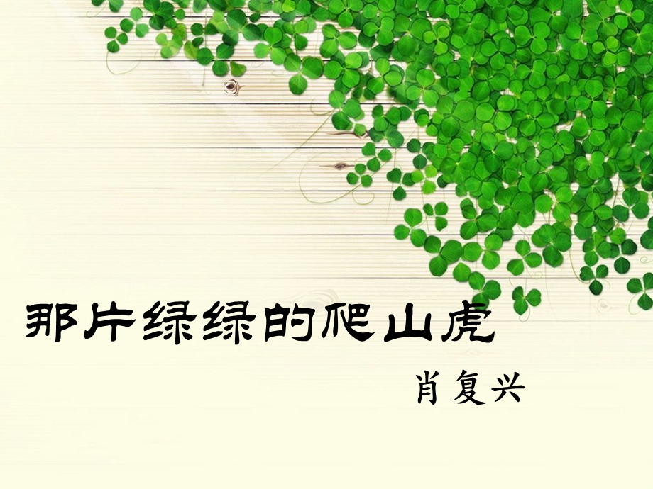 《那片绿绿的爬山虎》上.ppt_第1页