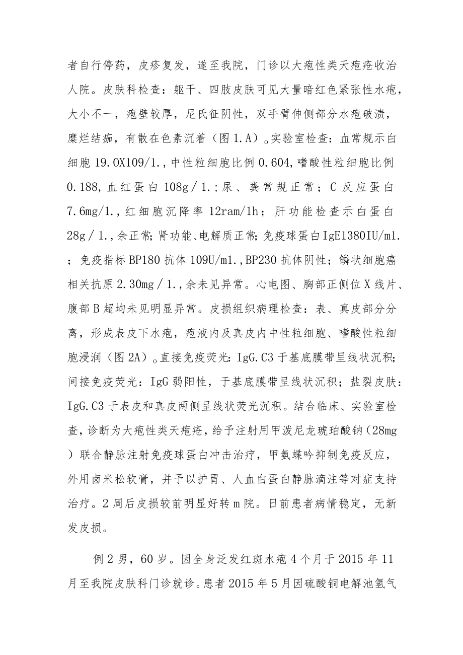 皮肤科医师晋升副主任（主任）医师高级职称病例分析专题报告（自身免疫性大疱性皮肤病）.docx_第3页