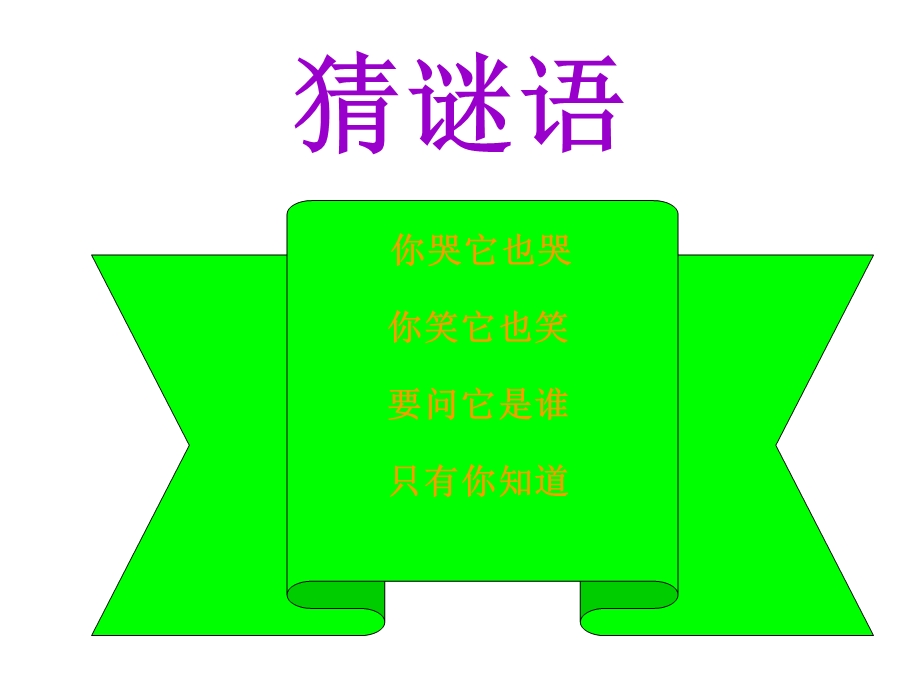 苏教版小学科学五年级上册《照镜子》课件-(科学课件).ppt_第2页