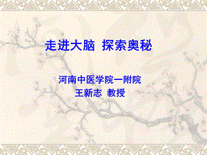 走进大脑探索奥秘.ppt