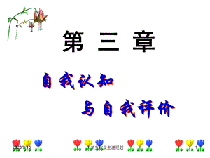 职业生涯(自我认知).ppt