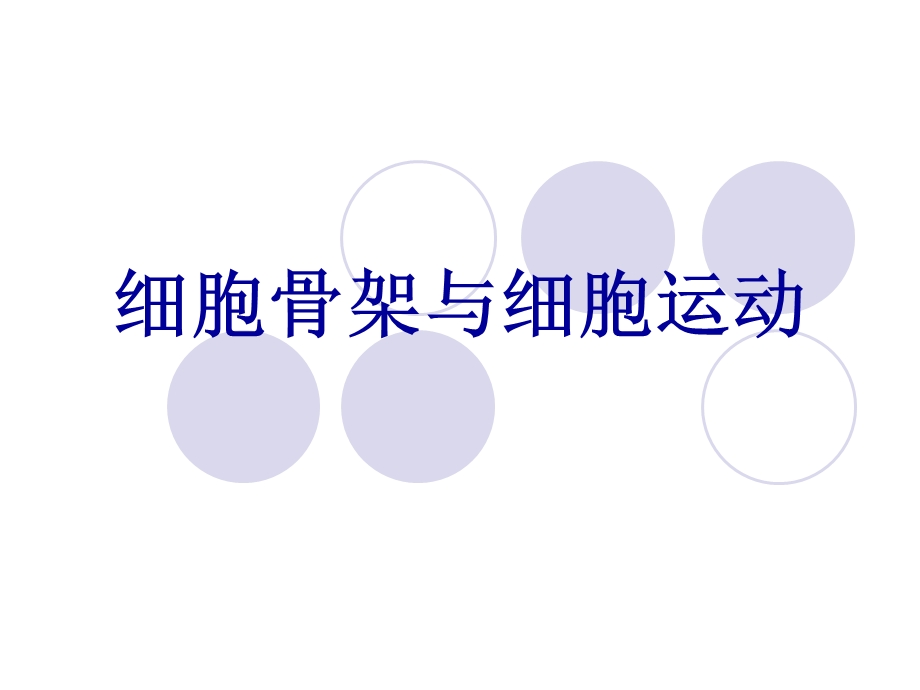 细胞骨架与细胞运动.ppt_第1页