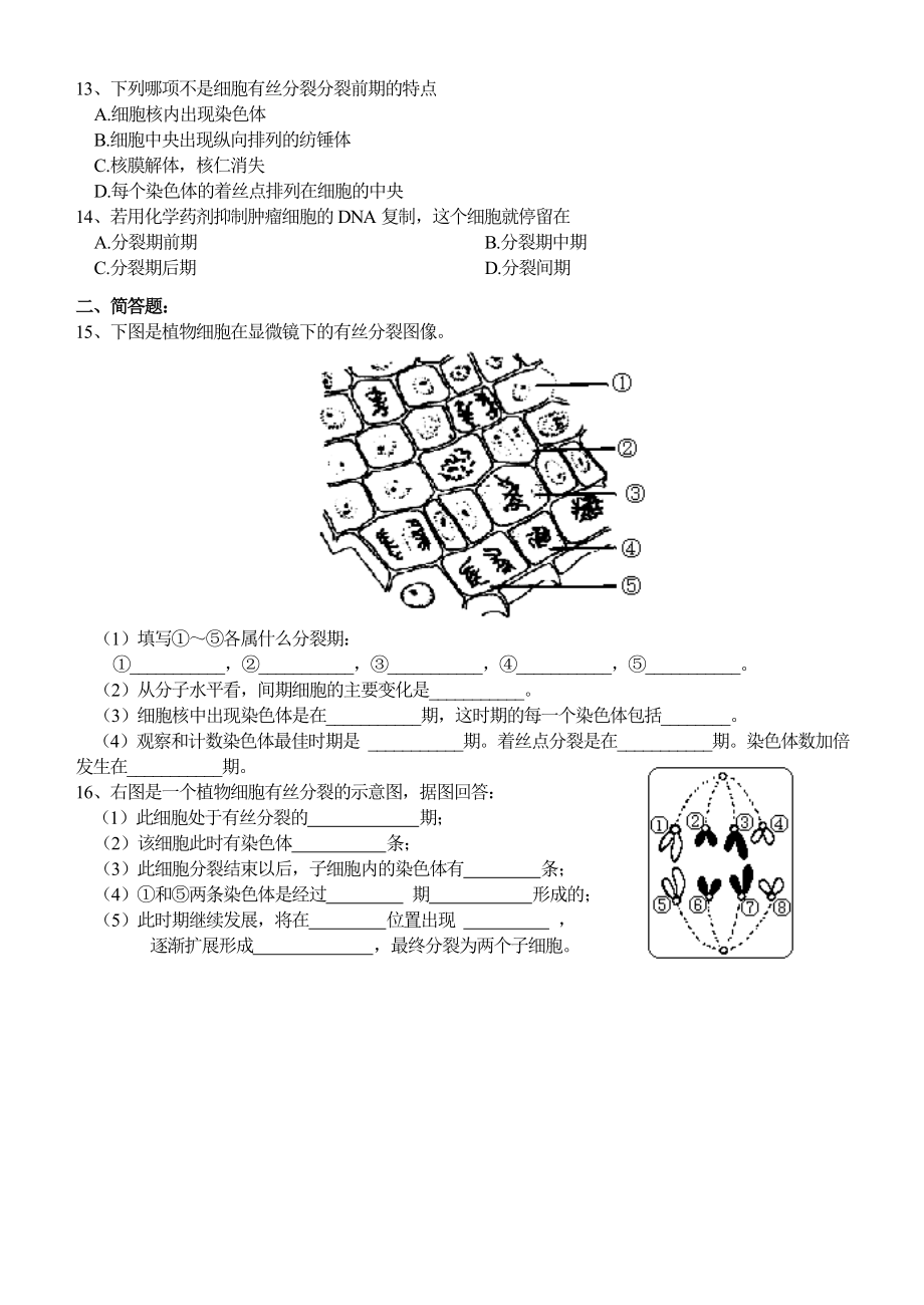 细胞的有丝分裂习题(一).doc_第2页