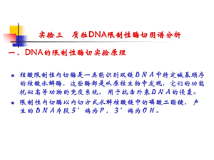 质粒DNA限制性酶切图谱分析.ppt