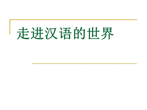 走进汉语的世界资料.ppt