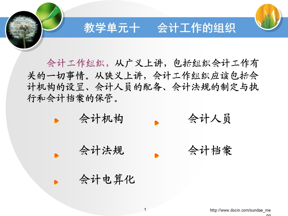 【大学课件】会计工作组织.ppt_第1页