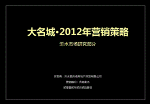 大名城营销策略——沂水市场研究部分50p.ppt