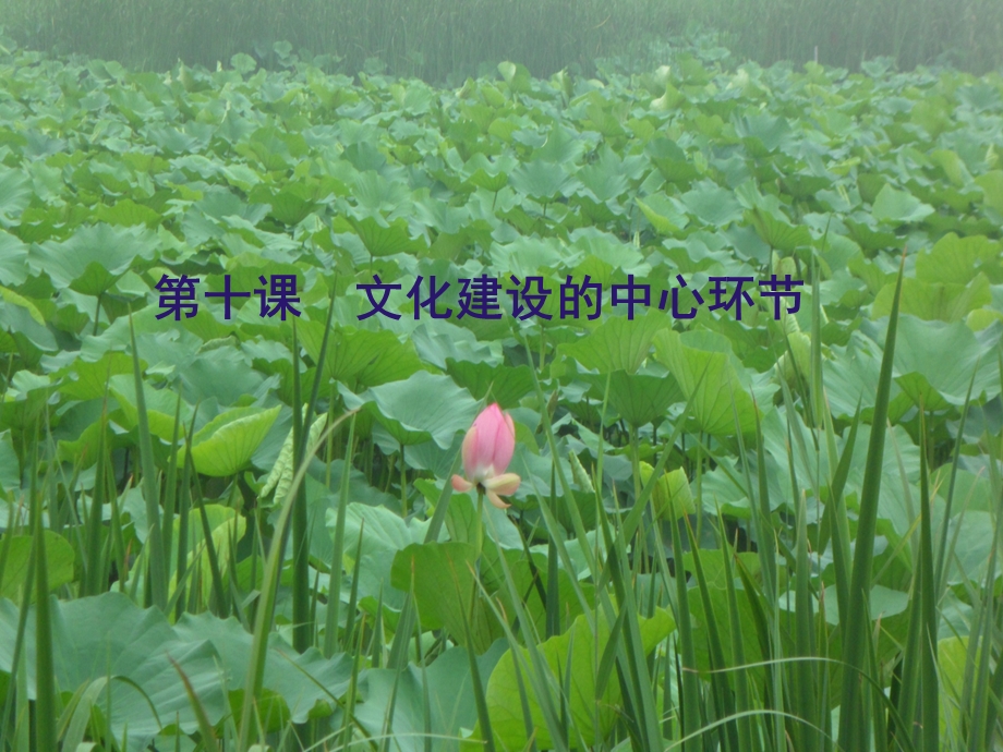 高三一轮文化建设的中心环节.ppt_第1页