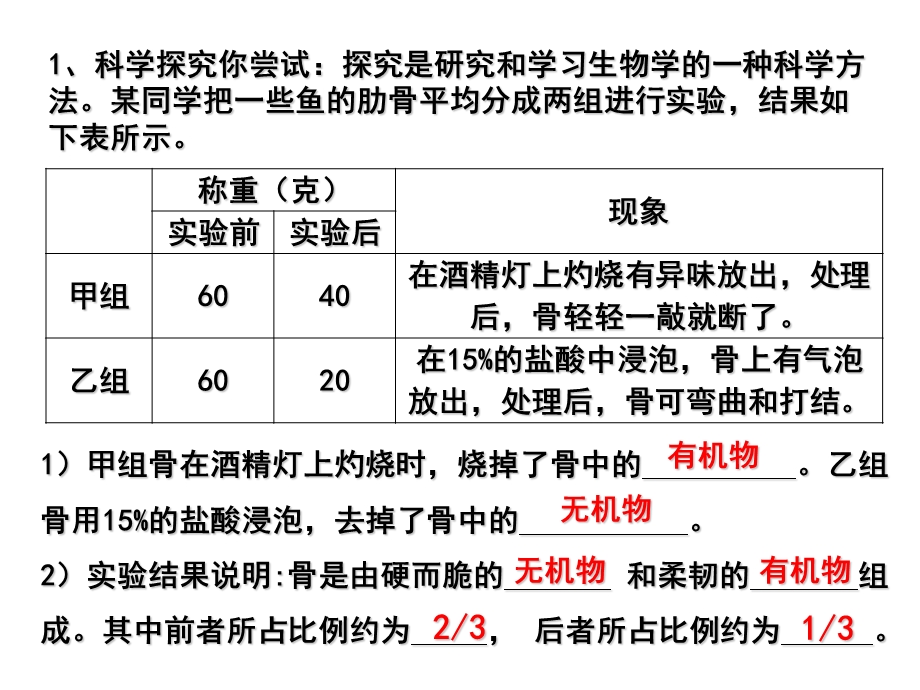 第一节动物的运动4(9月16日.ppt_第3页