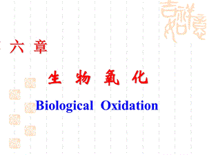 药学本科《生物化学》6生物氧化.ppt