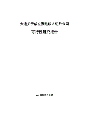 大连关于成立聚酰胺6切片公司可行性研究报告.docx