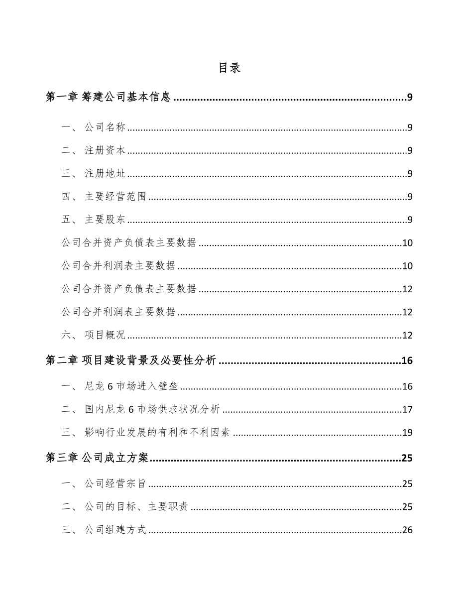 大连关于成立聚酰胺6切片公司可行性研究报告.docx_第2页