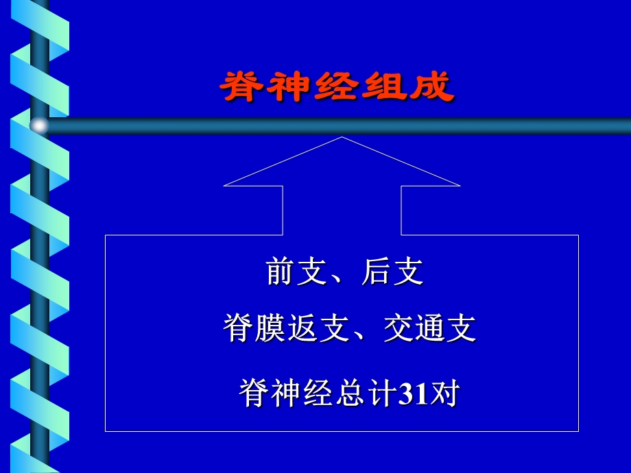 脊神经后支痛的射频治疗.ppt_第3页